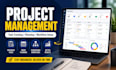 be your project manager, virtual assistant and manage project professionally