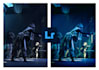 do  editing in adobe lightroom and  photo retouching