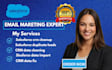 fix salesforce crm salesforce duplicate leads salesforce data import