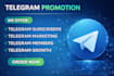 do telegram promotion increase tg members and subscribers