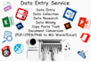 data entry, copy paste and urdu english translation