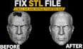 fix stl file edit repair modify custom 3d model 3d scan cleanup for 3d printing