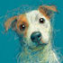 draw digital scribble pet portrait