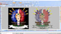do professional embroidery and chenille digitizing