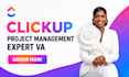 do clickup setup, clickup automation, clickup CRM, clickup project management VA