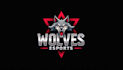 design outstanding wolf head mascot logo with express delivery