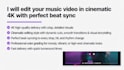 create cinematic professional music video edits