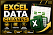 clean ,format and organise excel or CSV data professionally