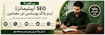 write professional and SEO optimized urdu blog posts