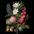 flowers, leaves, fruits, plants