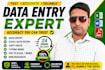 do fast and accurate typing work and excel work