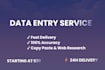 do accurate data entry, excel, copy paste and web research
