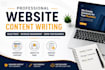 write professional website content for your business