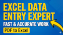 excel data automation and professional data entry specialist