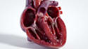 create professional medical animation and video