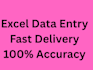 do excel data entry, copy paste, and data cleaning