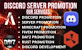 minecraft server promotion, dayz, rust, fiverm server, discord server promotion