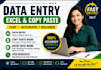 do fast and accurate data entry, excel, copy paste and web research