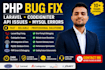 fix PHP laravel codeigniter bugs and API issues
