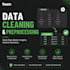 do data cleaning and preprocessing expert