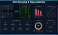 data cleaning and preprocessing expert