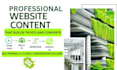 write professional website content for homepage about us and services pages
