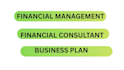 do financial consultation, financial modeling