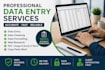 do data entry  data cleaning  image to text boss