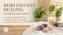 do reiki distant healing with PDF report