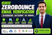 setup zerobounce email verification api integration list cleaning api webhook