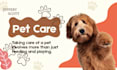 create custom pet food and supplements formulation