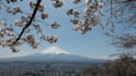 provide professional japanese proofreading and creative localization