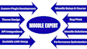 do custom moodle development task, moodle plugins, themes and integration