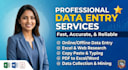 provide professional data entry and copypaste services