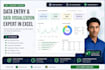 do data entry and excel visualization