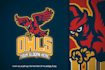 design attractive high quality modern owl logo