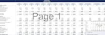 build a professional financial model with 3 statement projections in exce