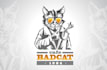 do modern high quality professional cat logo