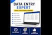 provide professional data entry and excel services