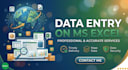 do professional and accurate ms excel data entry