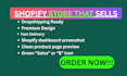 design a converting shopify dropshipping store