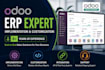 be your odoo expert for erp implementation, customization