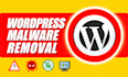 professionally remove malware and secure your wordpress site