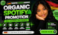 do organic spotify music promotion to a targeted german audience