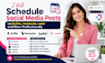 professionally schedule social media posts via buffer, hootsuite, later