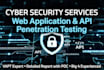 vapt expert web API thick client penetration testing big 4