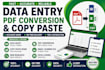 do data entry, copy paste and pdf conversion