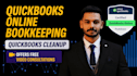 provide professional bookkeeping and cleanup services