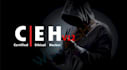ethically get access as an hackers to access and gain entry, investigation