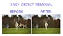 remove an object from your photo